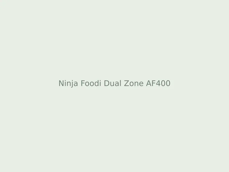 Ninja Foodi Dual Zone AF400 airfryer